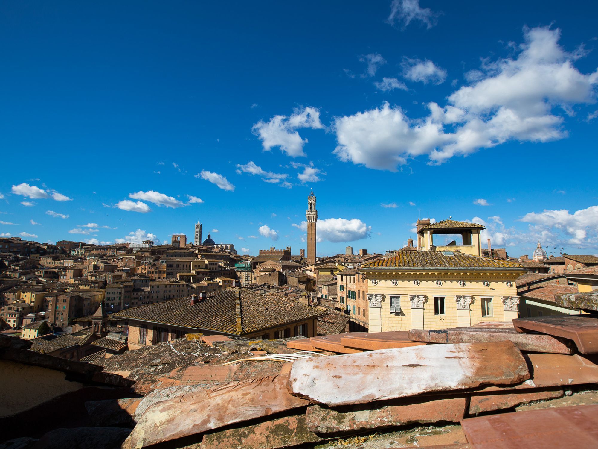 Appartamento Panoramico San Martino 12 Siena Zewnętrze zdjęcie